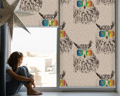 Fensterrollo innen mit Eulen in bunten Brillen