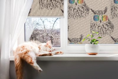 Fensterrollo innen mit Eulen in bunten Brillen