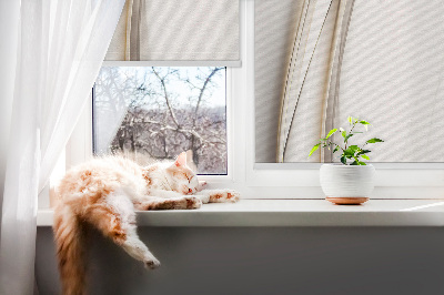 Fensterrollo innen für die Montage im Innenbereich