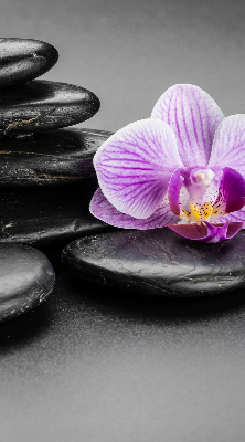 Fensterrollo mit Orchidee auf den Steinen