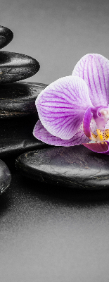 Fensterrollo mit Orchidee auf den Steinen