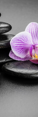 Fensterrollo mit Orchidee auf den Steinen