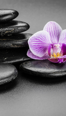Fensterrollo mit Orchidee auf den Steinen