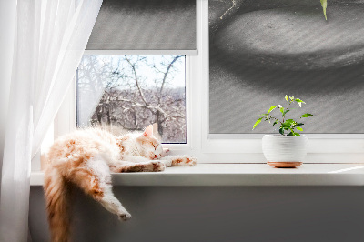 Fensterrollo mit Orchidee auf den Steinen