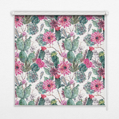 Fensterrollo mit Kaktusblüten-Motiv