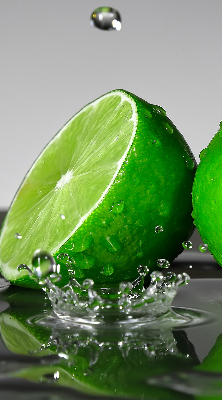 Fensterrollo innen als innenliegendes Fensterrollo