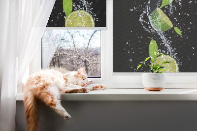 Rollo fenster in der Farbe Kalk