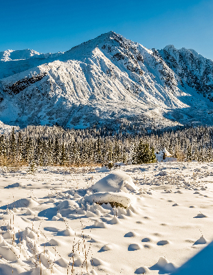 Fensterrollo innen gebirge