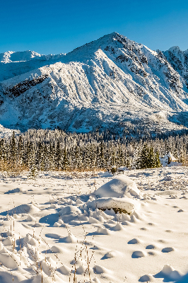 Fensterrollo innen gebirge