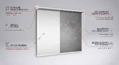 Fensterrollo in grauer Rauchfarbe