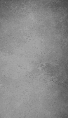 Fensterrollo in grauer Rauchfarbe