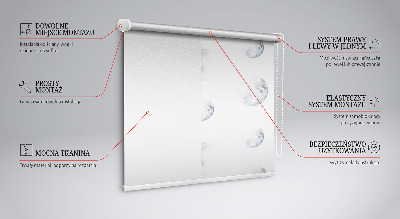 Fensterrollo innen monde