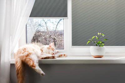 Fensterrollo innen verblassend