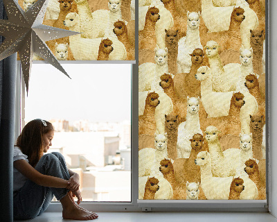 Fensterrollo eine Alpakaherde
