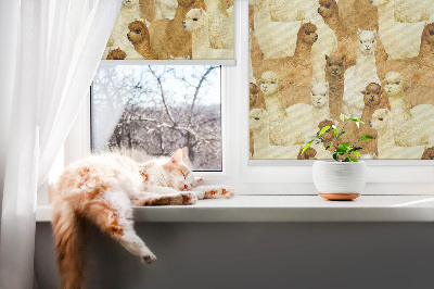 Fensterrollo eine Alpakaherde