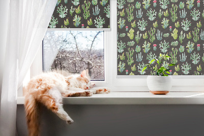 Fensterrollo innen