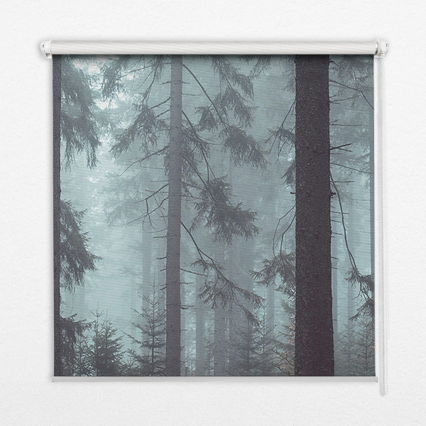 Fensterrollo innen in der Ausführung Wald bei Nacht