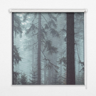 Fensterrollo innen in der Ausführung Wald bei Nacht