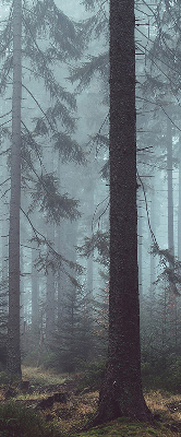 Fensterrollo innen in der Ausführung Wald bei Nacht
