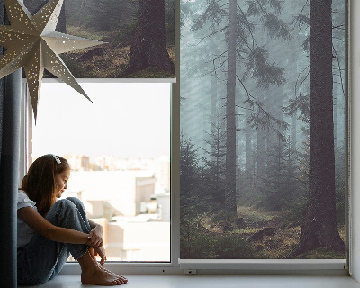Fensterrollo innen in der Ausführung Wald bei Nacht