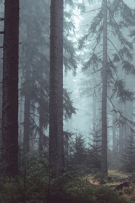 Fensterrollo innen in der Ausführung Wald bei Nacht