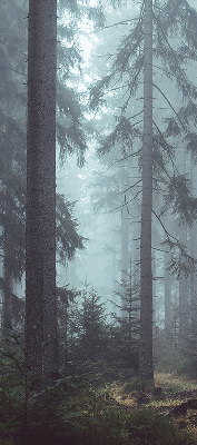 Fensterrollo innen in der Ausführung Wald bei Nacht