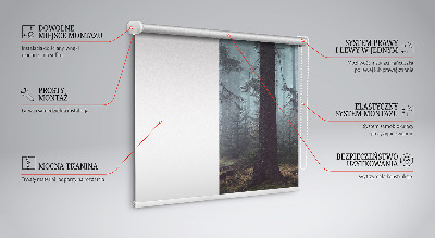 Fensterrollo innen in der Ausführung Wald bei Nacht