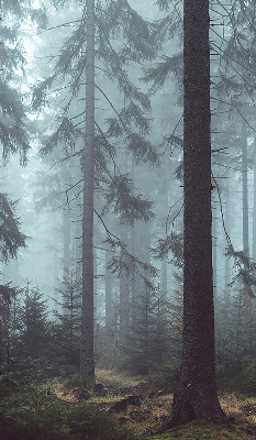 Fensterrollo innen in der Ausführung Wald bei Nacht