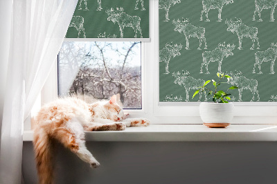 Fensterrollo innen