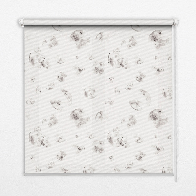 Rollofenster Planeten