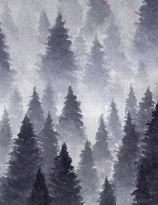 Rollo Fenster mit Nebelwald-Motiv