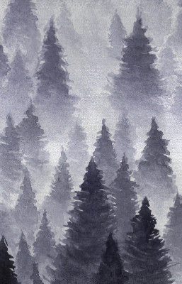 Rollo Fenster mit Nebelwald-Motiv