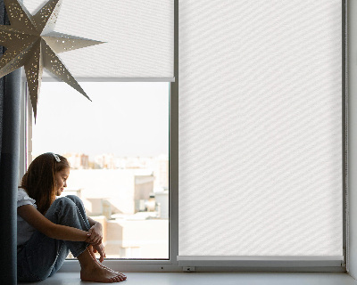 Fensterrollo innen in Weiß