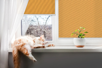 Rollo Fenster in Dunkelorange