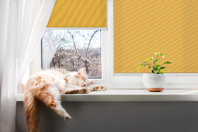 Fensterrollo in Orange