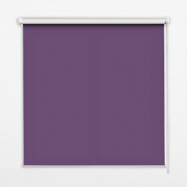 Rollo Fenster lila