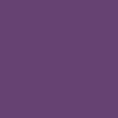 Rollo Fenster lila