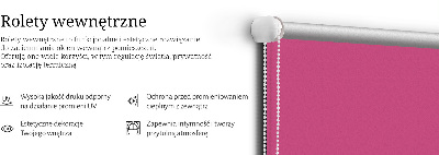 Fensterrollo rosa