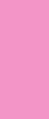 Fensterrollo rosa