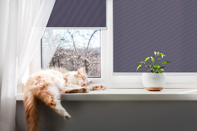 Fensterrollo innen in Dunkelviolett