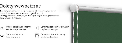 Fensterrollo grün