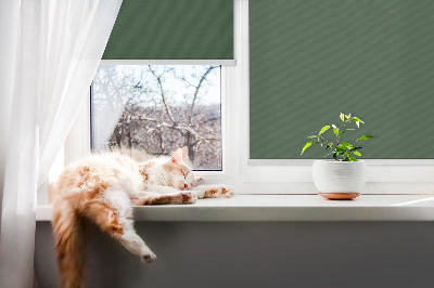 Fensterrollo grün