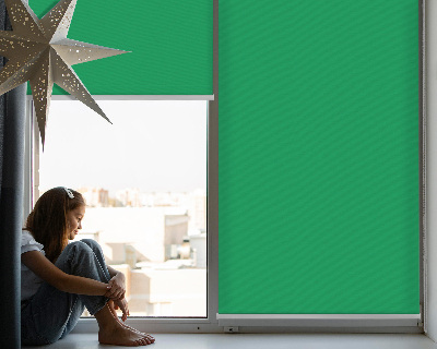 Fensterrollo innen grün