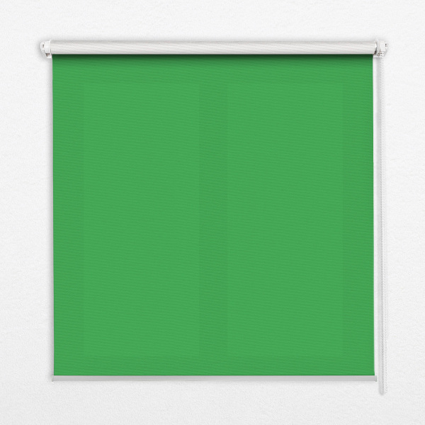 Rollo Fenster grün