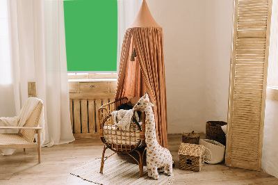 Rollo Fenster grün