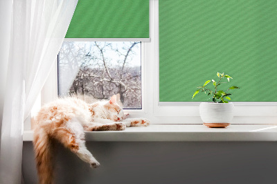 Rollo Fenster grün