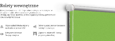 Fensterrollo grün