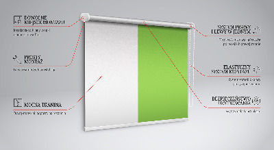 Fensterrollo grün