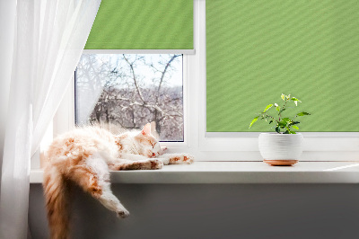 Fensterrollo grün