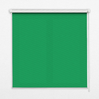 Fensterrollo innen grün